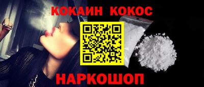 сатива Новозыбков