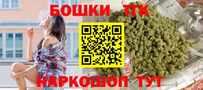 сатива Новозыбков