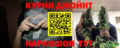 сатива Новозыбков