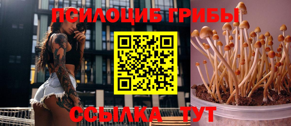 Галлюциногенные грибы мицелий  Псилоцибиновые грибы прущие грибы  Рыбинск  Вход с VPN 